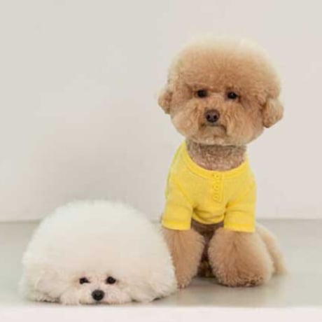 【DENTIST APPOINTMENT /デンティスト アポイントメント】Waffle Crop T-shirt yellow