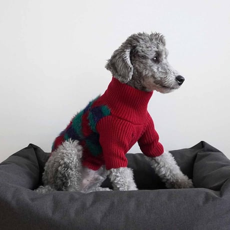 【PEGION/ペギオン】MONSTER SWEATER (モンスターセーター）- RED　XS,S