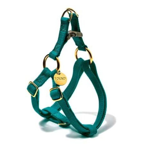 【Found My Animal /ファウンドマイアニマル】OMBRE DOG LEASH    (オンブレドッグリード）Tealティール