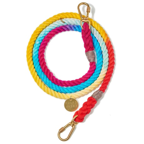 【Found My Animal /ファウンドマイアニマル】OMBRE DOG COLLAR    (オンブレドッグカラー）首輪　prismatic