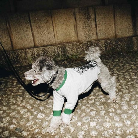 【PEGION/ペギオン】COOKIEBOY×PEGION POODLE dog parka  /クッキーボーイ×ペギオンパーカーgrey/navy