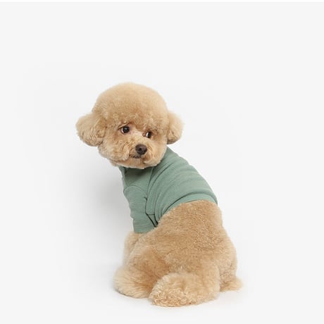 【TUSTUS】[DOG] crop-turtleneck (green)