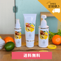 定期コース25％引＞Vediteケアシャンプー 300ml | Vedite STORE