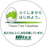 ダイニチ電子直営店