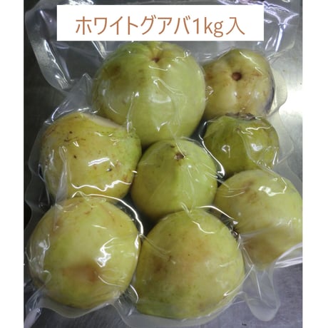 冷凍☆放任グアバ１ｋｇ【加工用】※同梱できないものがあります