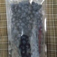 【冷凍】放任ブルーベリー500g