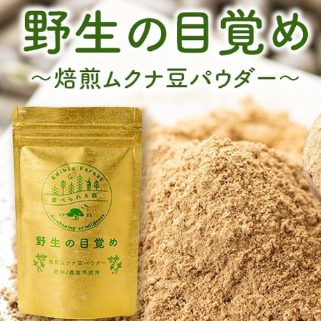 焙煎ムクナ豆パウダー【野生の目覚め】  100ｇ