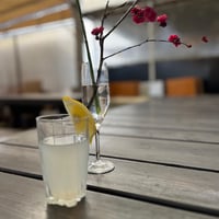 ＊冷凍発送＊ホワイトグアバの酵素シロップと山水レモン