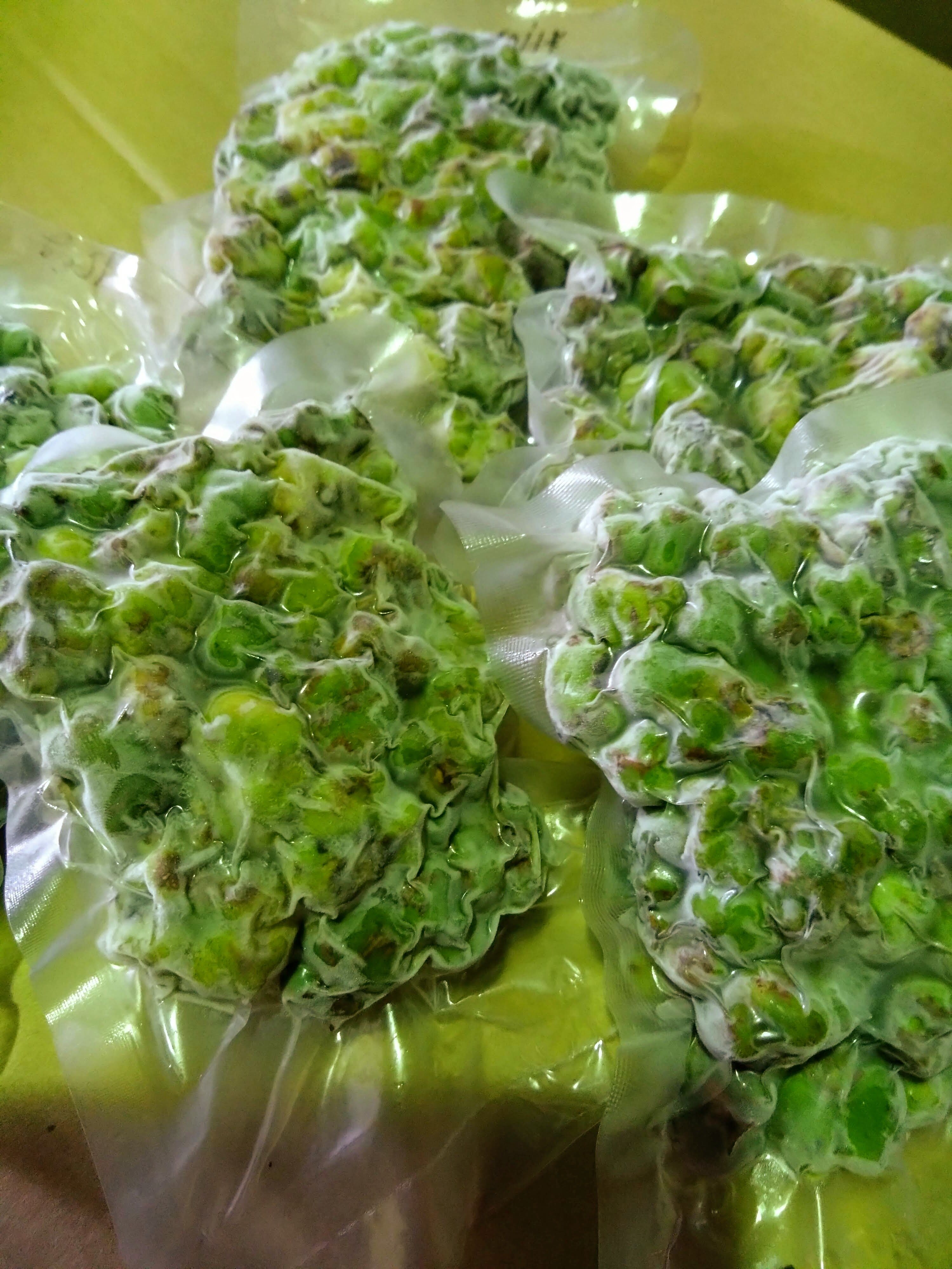冷凍☆山の自生虫こぶ(マタタビ)真空パック150g | sakura-yajinSTORE
