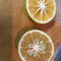 【予約販売：12／18（木）冷凍発送】　協生果実のソースと菓子セット　価格未定