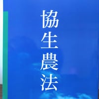 野人エッセイす | sakura-yajinSTORE