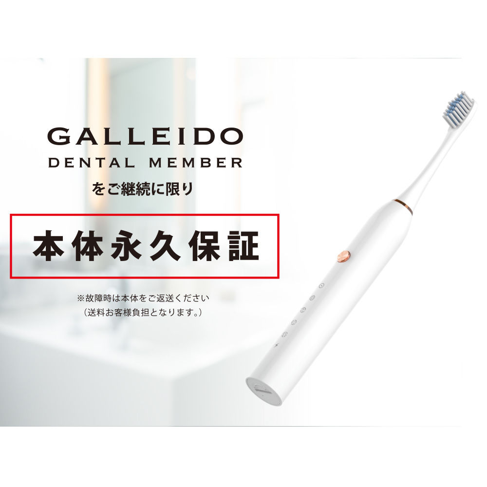 GALLAIDO ガレイド 替え歯ブラシ 5本セット 【SALE／89%OFF】 - 歯ブラシ