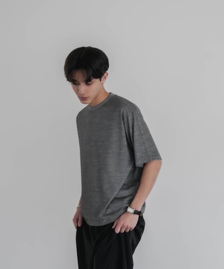 COOLMAX WOOL H/S TEE