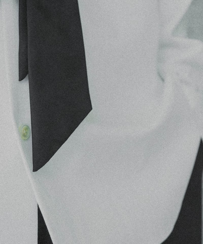 小物 CTHY BIASCUT SILK TIE 小物 CTHY BIASCUT SILK TIE BIASCUT SILK TIE | CTHY