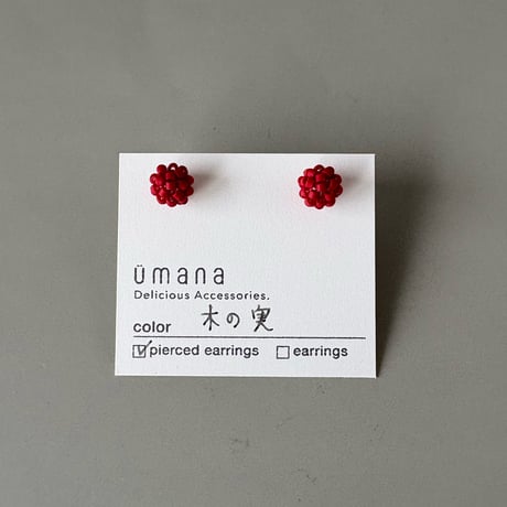 木の実*【コンペイトウ】