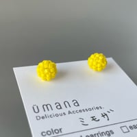 ミモザ*【コンペイトウ】