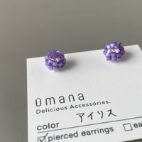 アイリス*【コンペイトウ】