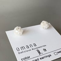 真白*【コンペイトウ】