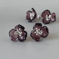 Plum*【パンジー】