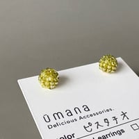 ピスタチオ*【コンペイトウ】