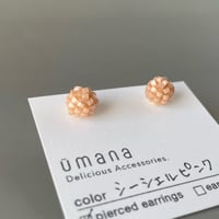 シーシェルピンク*【コンペイトウ】