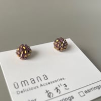あずき*【コンペイトウ】
