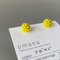 アボカド*【コンペイトウ】