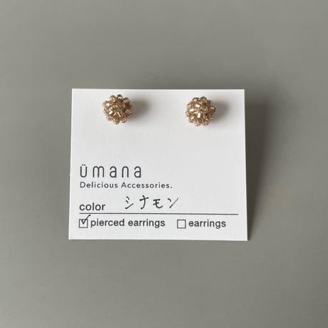 シナモン*【コンペイトウ】