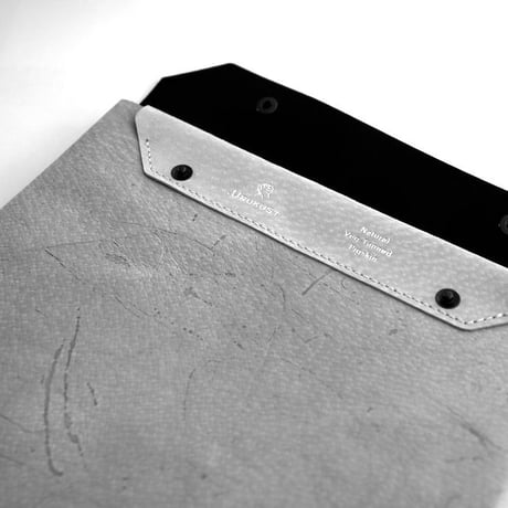 PS-A4 Document Case