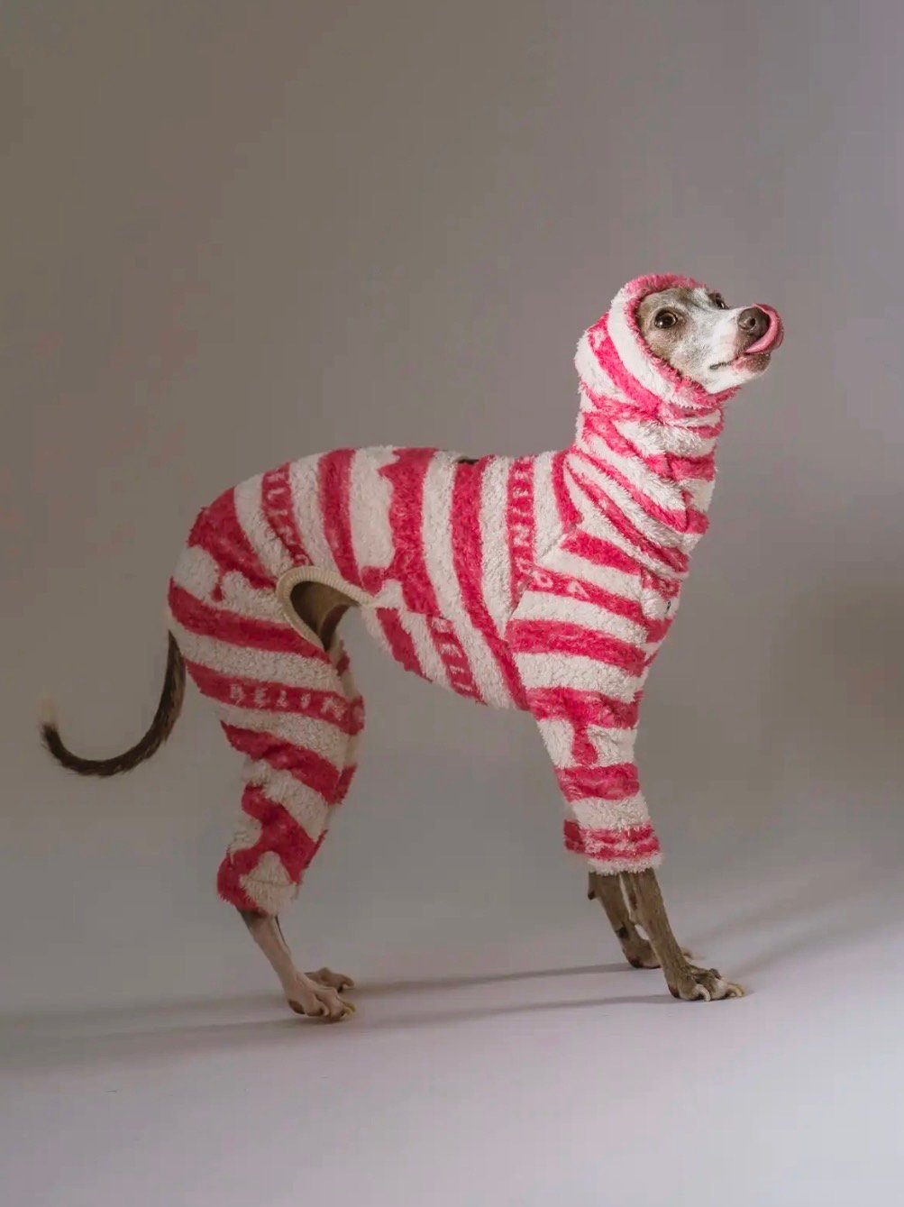 Cream【ピンク・ロンパース】 | Belinda-dog