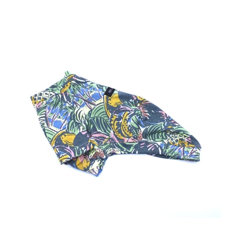 coconut T-shirt【blue】