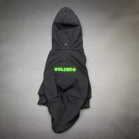 控えめNeon Parker2023【Black×green】