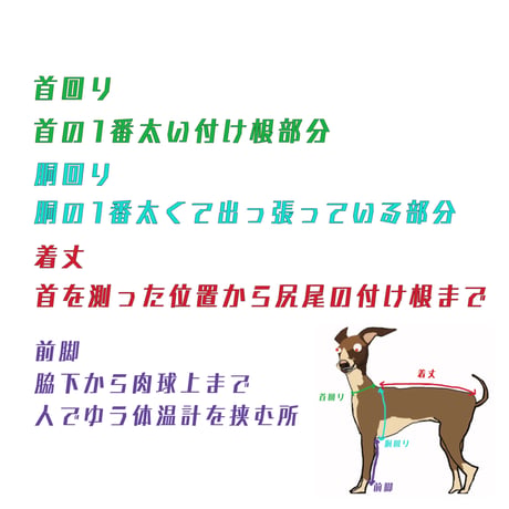 【前身頃とサイズの測り方】