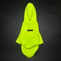 NEON PARKER 2021【yellow】