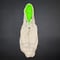 NEON PARKER 2023【oatmeal×green】