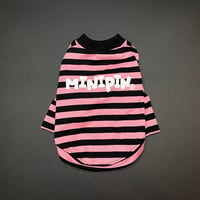 i am 2023 【pink×ミニピン】