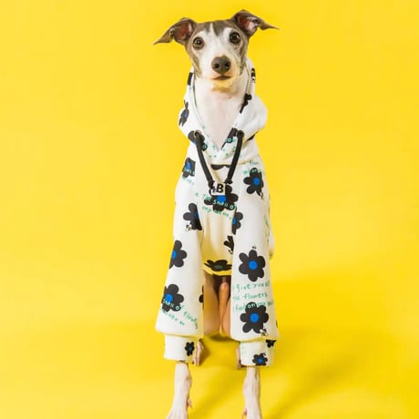 CATEGORY Parker | Belinda-dog