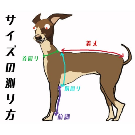 【前身頃とサイズの測り方】