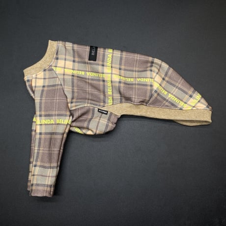 dusty check trainer