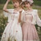 Miss Point 木香薔薇 1.0 レース/花柄 ロング ロリィタドレス 長袖/半袖 前あきブラウス [LO281]