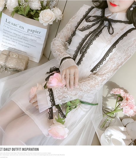 レース長袖 ふんわり妖精のような 黒レースのアクセントでレトロ感のある シフォン ワンピース XL [OP149]