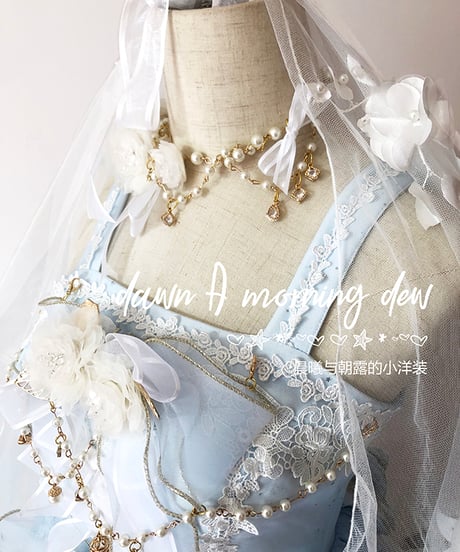 Dawn & Morning Dew Lolita / 朝露の花嫁 クラシックロリィタ JSK [LO917]