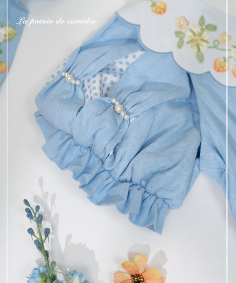 la poésie de camélia いちご 刺繍ロリィタ ワンピース ロング [LO474]