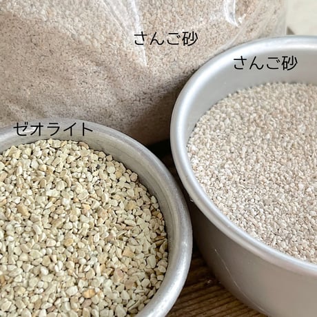サンゴ砂      ※固まらないタイプ