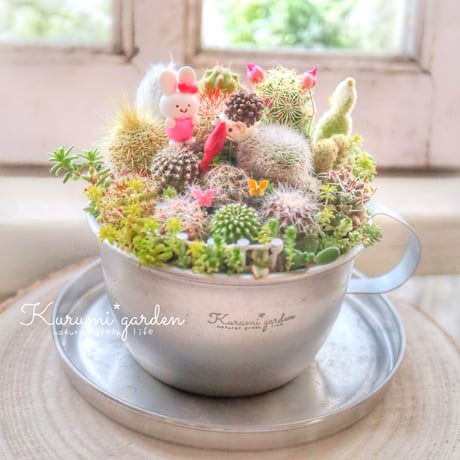 CATEGORY 寄せ植え作品 | kurumigarden's STORE CATEGORY 寄せ植え作品 | kurumigarden's STORE