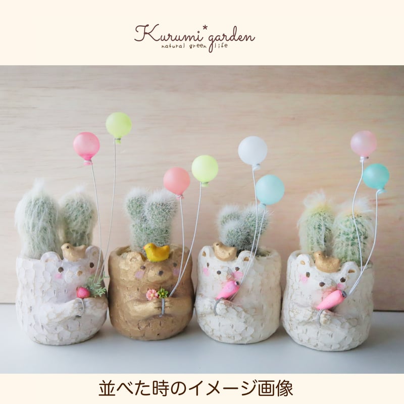 よくばりなクマちゃん♡ | kurumigarden's STORE
