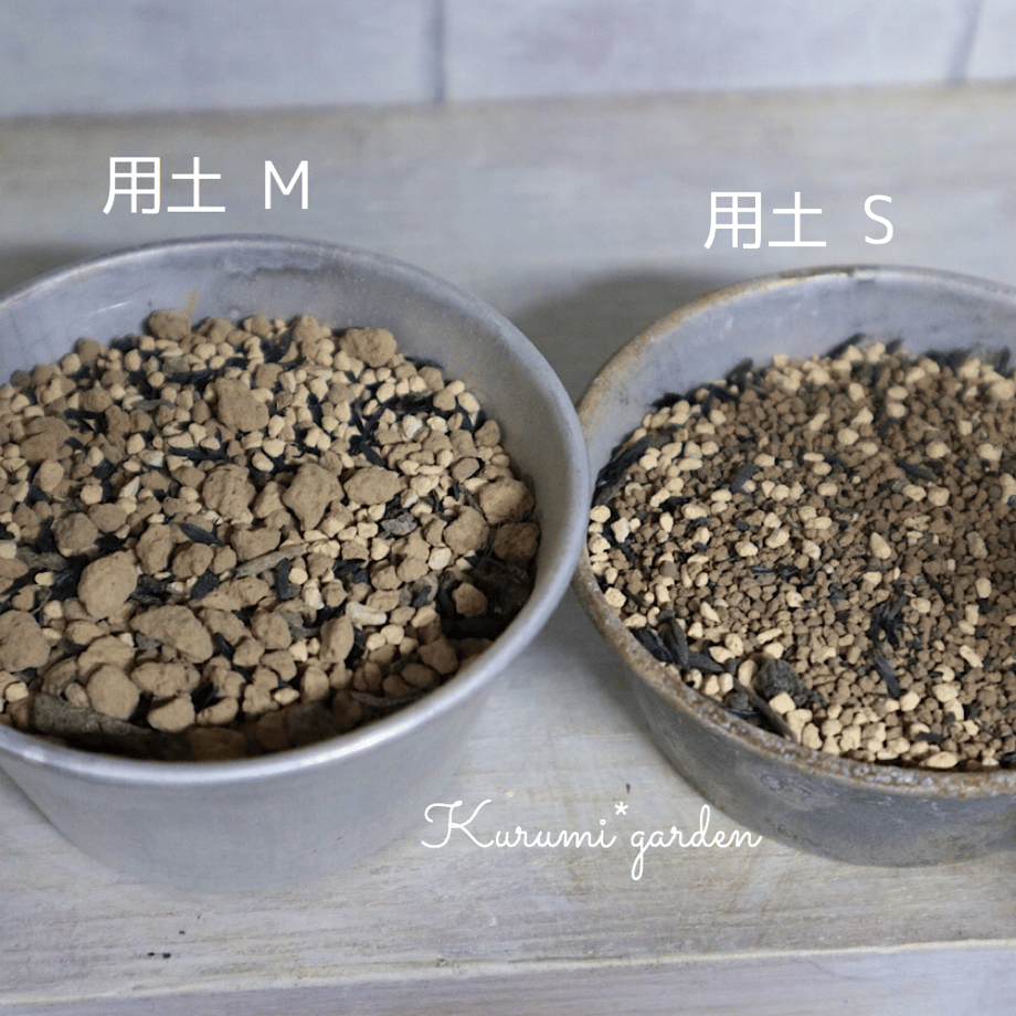 5ebfb78155fa035fe5713613