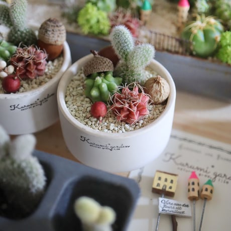 ミニチュアガーデンセット③