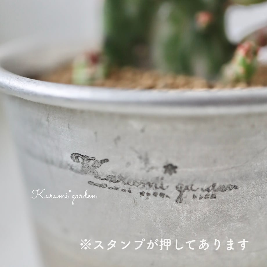 6a2288727ab8800d5c56f1db