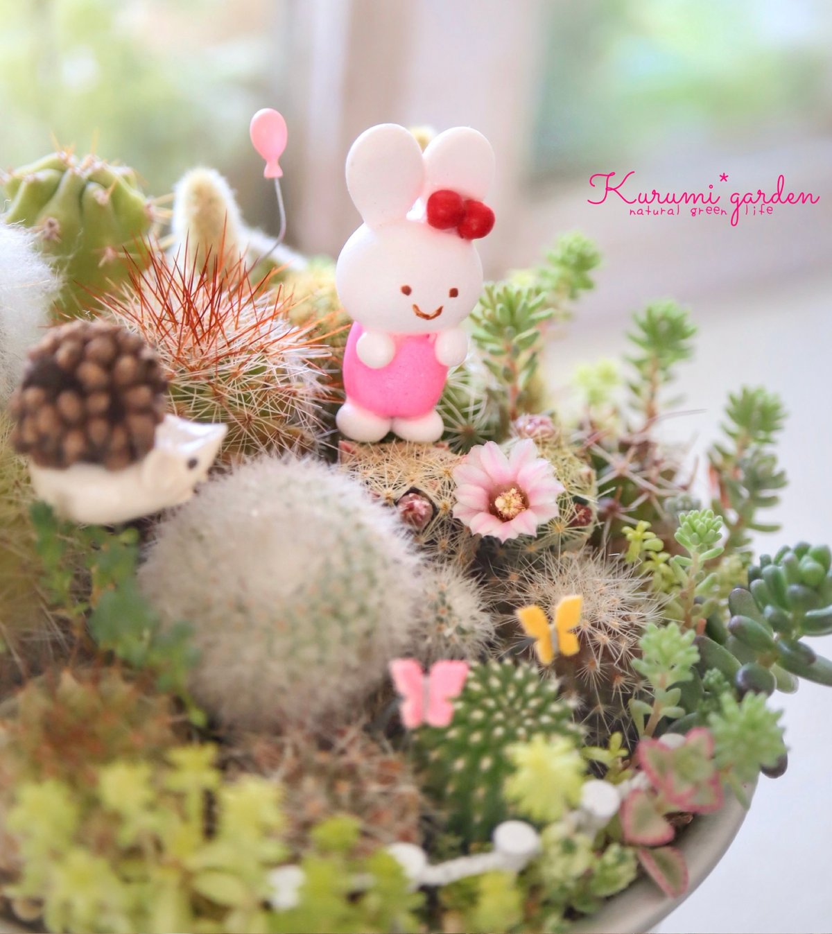 🌸ネズぼっくり＆うさみみのピックセット🌼 | kurumigarden's STORE